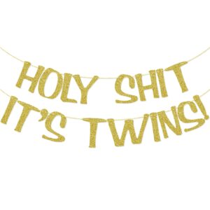 holy shit it's twins glitter banner baby shower gender reveal party decorations pregnancy announcement funny sign birthday supplies (gold)