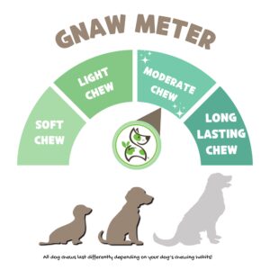 Nature Gnaws Braided Beef Jerky Chews for Dogs 5-6" (10 Count) - Long Lasting for Small and Medium Dogs - Natural Beef Gullet Dog Chew Bones