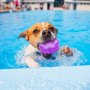 Pawaboo Pet Cooling Chew Toy, Freezable Dog Teether Chewing Ring for Aggressive Chewers, Upgraded Non-Toxic Freeze Fetch Toy for Small Medium Dog Puppy, Summer Pet Interactive Toys, Purple