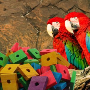 Parrot Toys 100 Pcs Wooden Blocks Bird Chewing Toy Beak Trim Parrot Foot Craft Cage Part Toy Mini Wood Chip Charms for DIY Playing Chewing Shredding Mixed Large Bird Toys