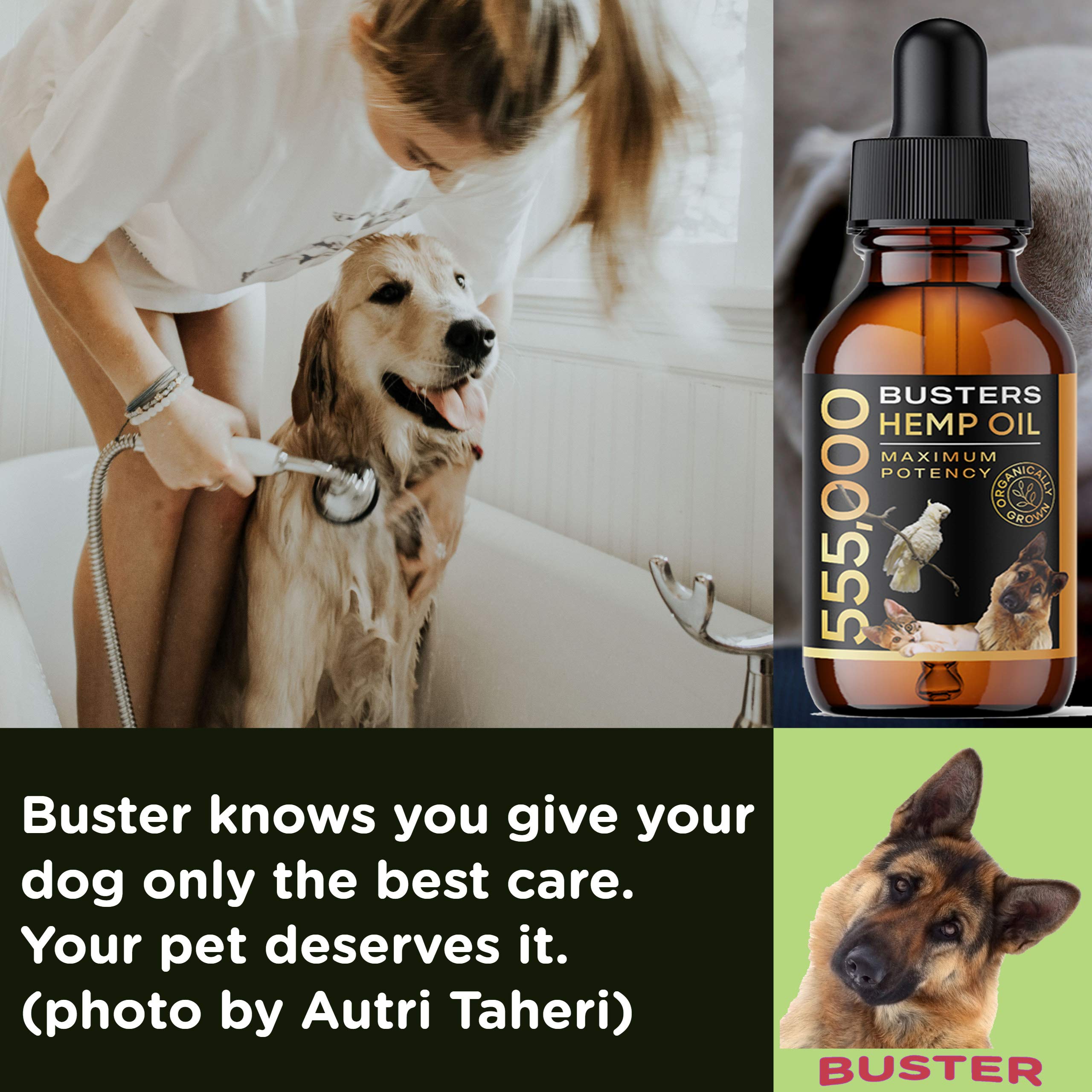 K2xLabs Buster's Organic Hemp Oil for Dogs and Pets, 4PACK-8MTH-supply, 555,000 Max Potency, Large 60ml Bottle, Made in USA - Miracle Formula, Perfectly Balanced Omega 3, 6, 9 - Joint Relief, Calming