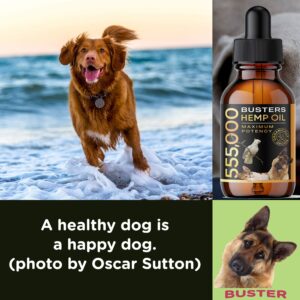 K2xLabs Buster's Organic Hemp Oil for Dogs and Pets, 4PACK-8MTH-supply, 555,000 Max Potency, Large 60ml Bottle, Made in USA - Miracle Formula, Perfectly Balanced Omega 3, 6, 9 - Joint Relief, Calming