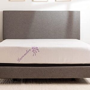 Tulo by Mattress Firm | 10 INCH Memory Foam Lavender Mattress | Pain-REDUCING Pressure Relief | Full Size