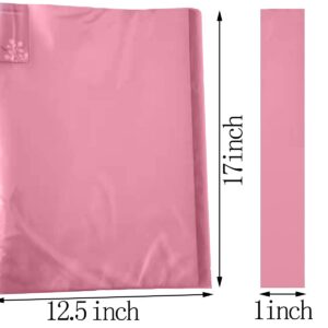 HADZLPOY Painting Storage Book 40 Clear Pockets Sleeves Protectors Art Portfolio Book，A3 Album information folder bag for 30 x cm Presentation (Can Accommodate 16.5 12.1inch)(Pink)