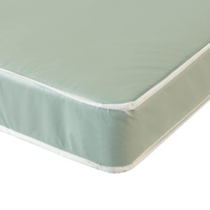 Treaton Pressure Relieving & Cooling High Density Foam Queen Mattress - 9-inch Water Proof Vinyl Medium Firm Tight Top Pocketed Coil Rolled Hybrid Mattres with 8” Wood Box Spring, Bed in Box, Green