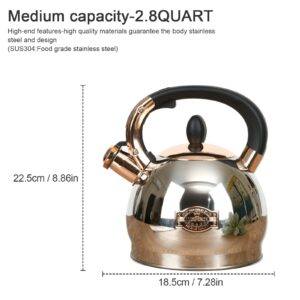 Stainless Steel Whistling Tea Kettle with Metal Capsulated Bottom for Quick Heat Distribution 2.8 Quart