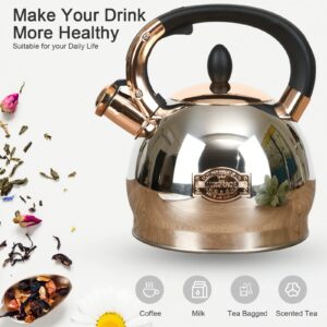 Stainless Steel Whistling Tea Kettle with Metal Capsulated Bottom for Quick Heat Distribution 2.8 Quart