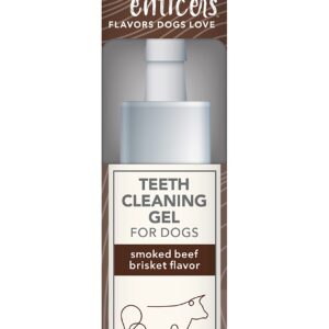 TropiClean Enticers Dog Teeth Cleaning Treat Gel | Beef Brisket Flavored Dog Toothpaste Alternative | 2 oz.