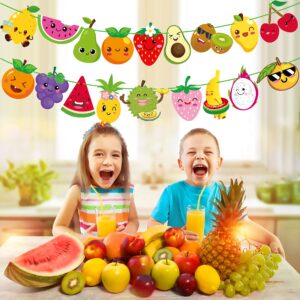 Fruit Theme Birthday Party Decorations Twotti Frutti Party Banner Cute Fruit with Smiling Face Patterns Garland for Summer Fruit Birthday Party Baby Shower Supplies