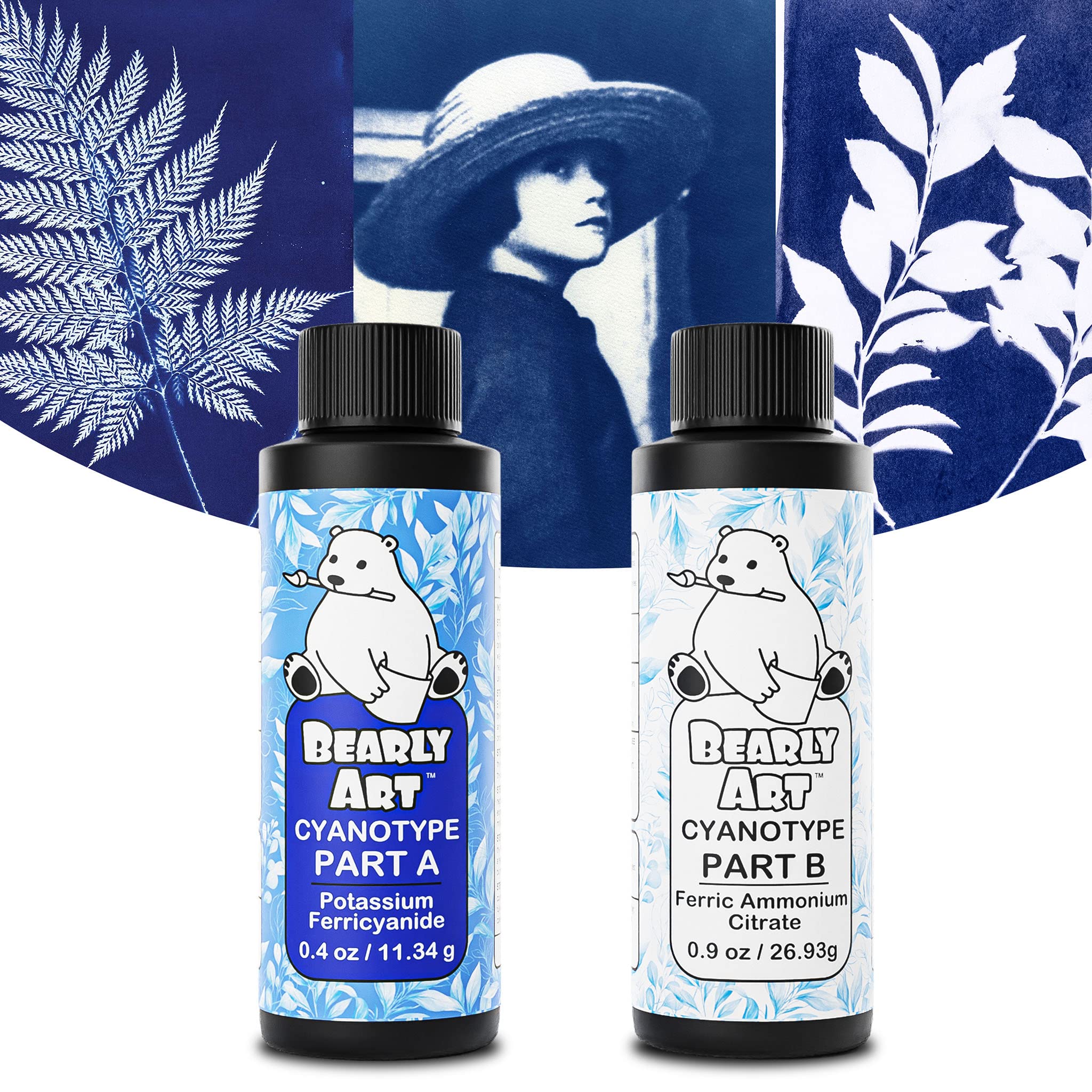 Bearly Art Cyanotype Kit - Sun - Solar Print Set for Photographic Printing on Paper and Fabric - 2 Part Sensitizer - Archival - Creates 32 8"x10" Prints on Paper and 25 on Fabric