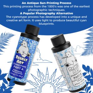 Bearly Art Cyanotype Kit - Sun - Solar Print Set for Photographic Printing on Paper and Fabric - 2 Part Sensitizer - Archival - Creates 32 8"x10" Prints on Paper and 25 on Fabric