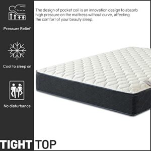 Mayton 9 Inch Hybrid Mattress in a Box Pocket Spring Motion Isolation for Back Pain and Pressure Relief, Twin, Black