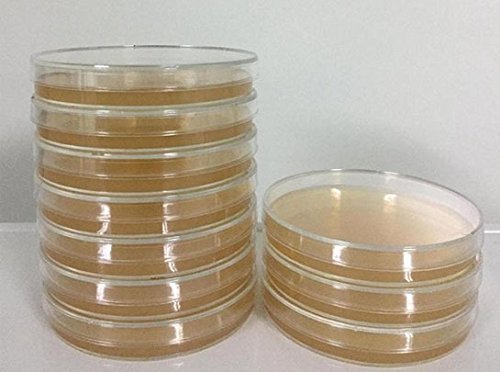 Malt Extract Agar Plates - Great for Mushrooms, Molds, Fungus - 5 Prepoured MEA Petri Dishes (5)