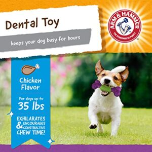 Arm & Hammer Nubbies Dental Toys DuoBone Dental Chew Toy for Dogs Best Dog Chew Toy for The Moderate Chewers Reduces Plaque & Tartar Buildup Without Brushing, Chicken Flavor (Pack of 24)