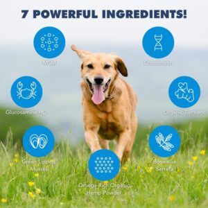 iHeartDogs Hip & Joint Supplement for Dogs - Advanced 8-in-1 Dog Joint Supplement Chews with Glucosamine, Chondroitin, Turmeric, Devil's Claw, Green Lipped Mussel, Hemp, Yucca, Boswellia & MSM - 90 Ct