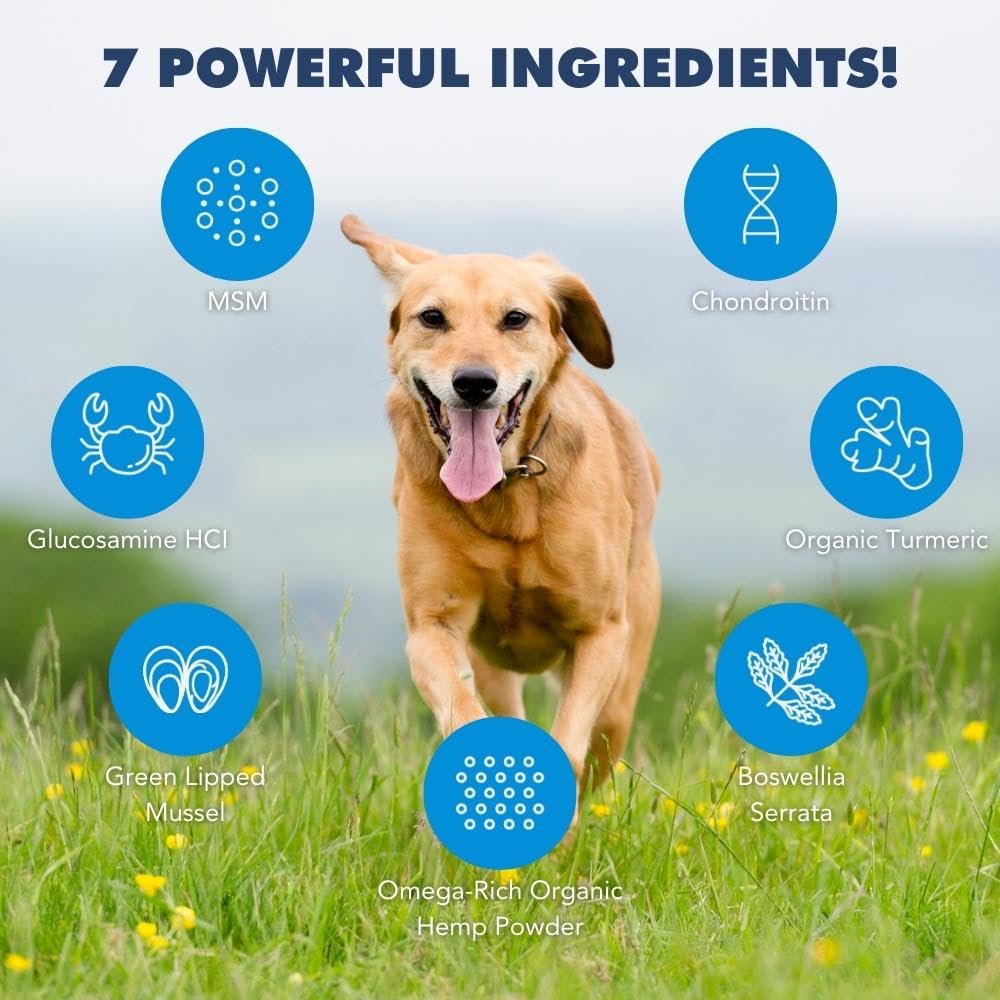 iHeartDogs Hip & Joint Supplement for Dogs - Advanced 8-in-1 Dog Joint Supplement Chews with Glucosamine, Chondroitin, Turmeric, Devil's Claw, Green Lipped Mussel, Hemp, Yucca, Boswellia & MSM - 90 Ct