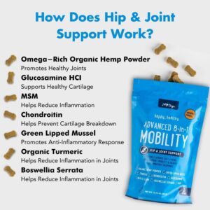 iHeartDogs Hip & Joint Supplement for Dogs - Advanced 8-in-1 Dog Joint Supplement Chews with Glucosamine, Chondroitin, Turmeric, Devil's Claw, Green Lipped Mussel, Hemp, Yucca, Boswellia & MSM - 90 Ct