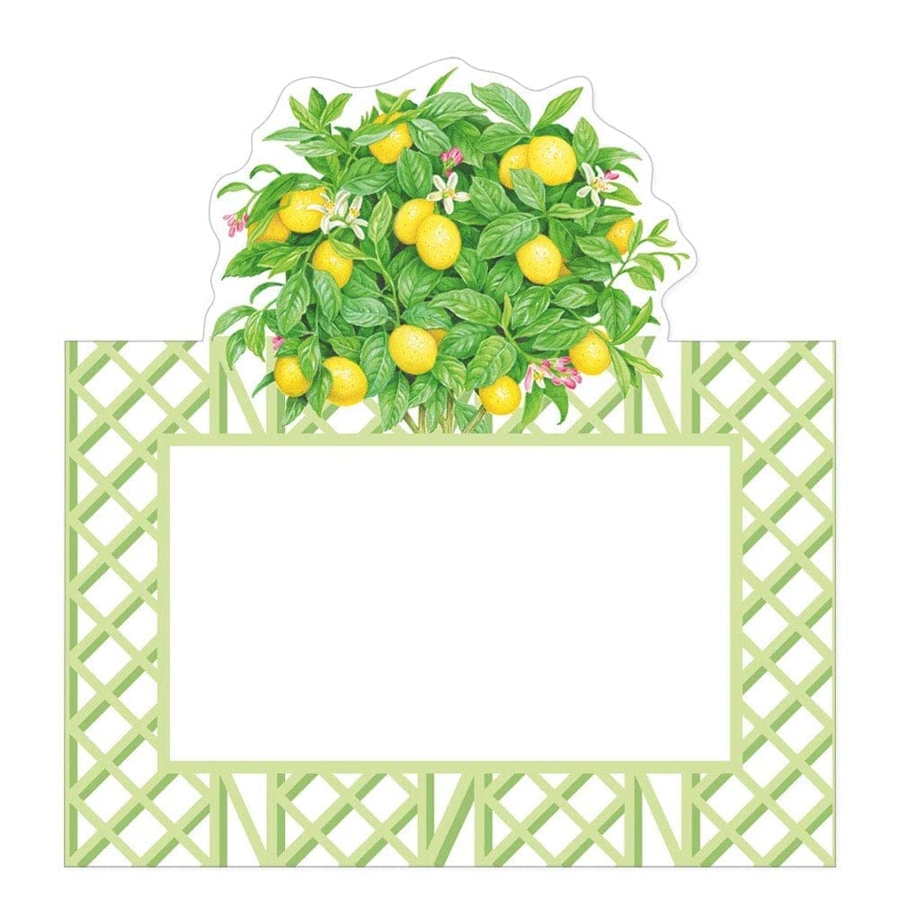 Caspari Citrus Topiaries Die-Cut Place Cards, 40 Count