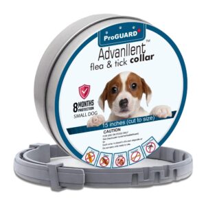 advanllent flea collar for dogs, flea and tick collars for small dogs, 15.5inch, 8 month protection (1 pack), gray