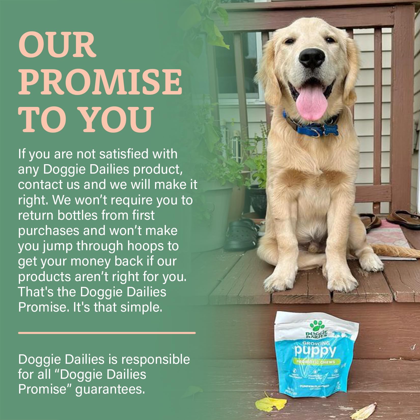 Doggie Dailies Puppy Probiotic | Probiotics for Puppies with Digestive Enzymes, Promotes Digestive Health, Supports Immune System & Overall Development | 120 Soft Chews