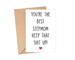 arezzaa you're the best stepmom keep that shit up - stepmom birthday card - funny card for stepmom - thank you for being my stepmom - card gifts for stepmom - birthday gifts for stepmom, 5 x 7 inches