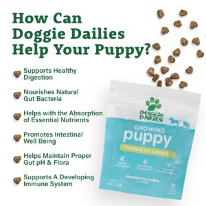 Doggie Dailies Puppy Probiotic | Probiotics for Puppies with Digestive Enzymes, Promotes Digestive Health, Supports Immune System & Overall Development | 120 Soft Chews