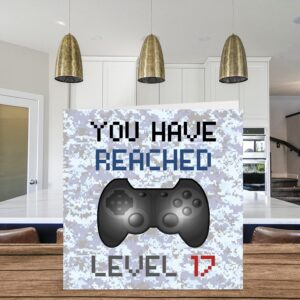 Stuff4 Unisex 17th Birthday Card - You Have Reached Level 17, Video Gaming Theme, 145mm x 145mm, Blank Inside, Coloured Envelope