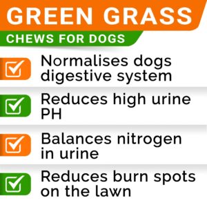 STRELLALAB Grass Burn Spot Chews for Dogs - Dog Urine Neutralizer for Lawn - Dog Pee Lawn Spot Saver - Natural Treatment Caused by Dog Urine - Grass Treatment Rocks -DL-Methionine+Enzymes - 120 Chew