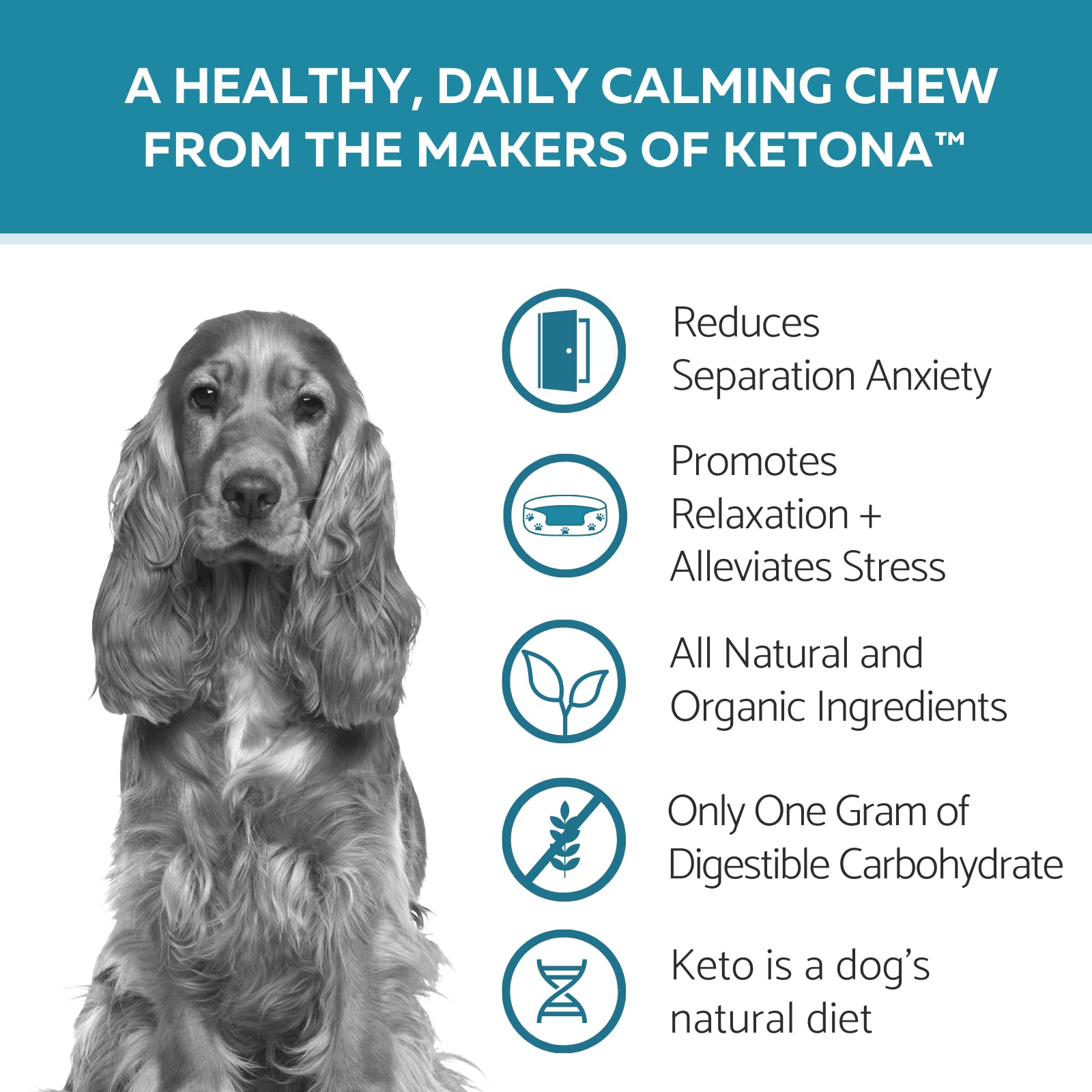 Ketona Daily Calming Chews with Hemp for Dogs, Natural Duck Flavor, Healthy Chewable Supplements That Promote Calming and Relaxation, Natural and Organic Ingredients – 120 Count