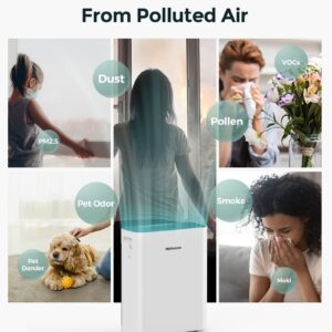 Homvana H211 & H211S Air Purifier Replacement, True HEPA High-Efficiency Activated Carbon Filter, 1 Pack