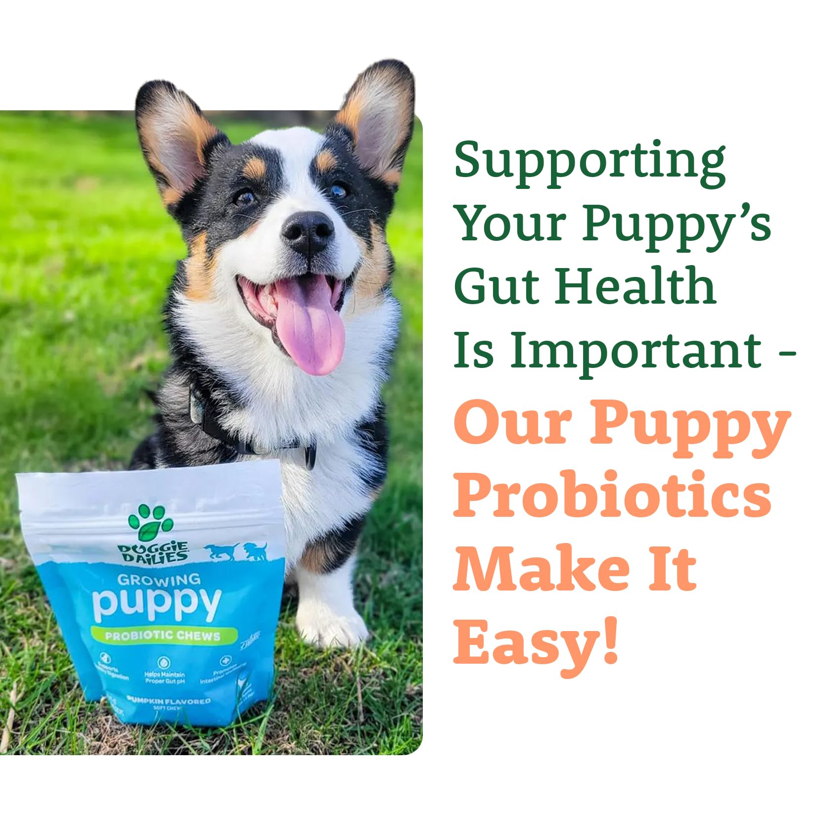 Doggie Dailies Puppy Probiotic | Probiotics for Puppies with Digestive Enzymes, Promotes Digestive Health, Supports Immune System & Overall Development | 120 Soft Chews