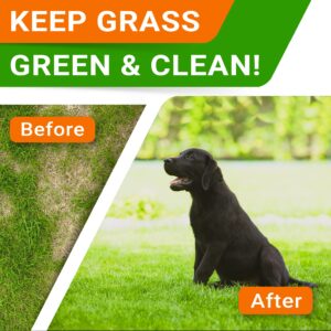 STRELLALAB Grass Burn Spot Chews for Dogs - Dog Urine Neutralizer for Lawn - Dog Pee Lawn Spot Saver - Natural Treatment Caused by Dog Urine - Grass Treatment Rocks -DL-Methionine+Enzymes - 120 Chew