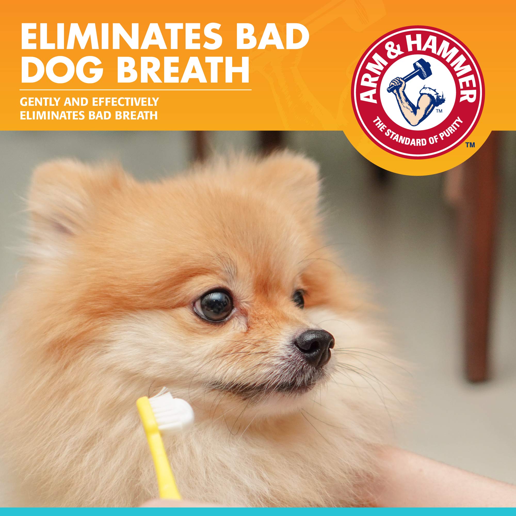 Arm & Hammer for Pets Clinical Care Dental Enzymatic Toothpaste for Dogs | Soothes Inflamed Gums | Safe for Puppies | Fresh Breath Vanilla Ginger - 72 Pack