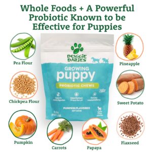 Doggie Dailies Puppy Probiotic | Probiotics for Puppies with Digestive Enzymes, Promotes Digestive Health, Supports Immune System & Overall Development | 120 Soft Chews