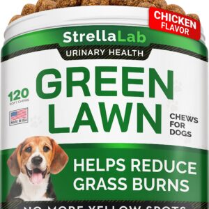 STRELLALAB Grass Burn Spot Chews for Dogs - Dog Urine Neutralizer for Lawn - Dog Pee Lawn Spot Saver - Natural Treatment Caused by Dog Urine - Grass Treatment Rocks -DL-Methionine+Enzymes - 120 Chew