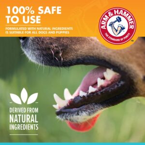 Arm & Hammer for Pets Clinical Care Dental Enzymatic Toothpaste for Dogs | Soothes Inflamed Gums | Safe for Puppies | Fresh Breath Vanilla Ginger - 72 Pack