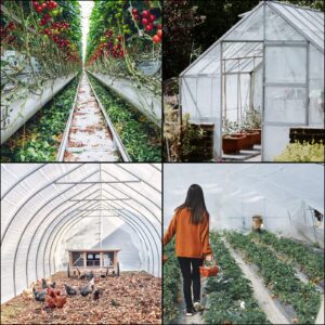 VEVOR 32 x 25 ft Greenhouse Plastic Sheeting, 6 Mil Thickness UV Resistant Clear Polyethylene Film, Hoop Green House Cover for Farms, Agriculture, Garden