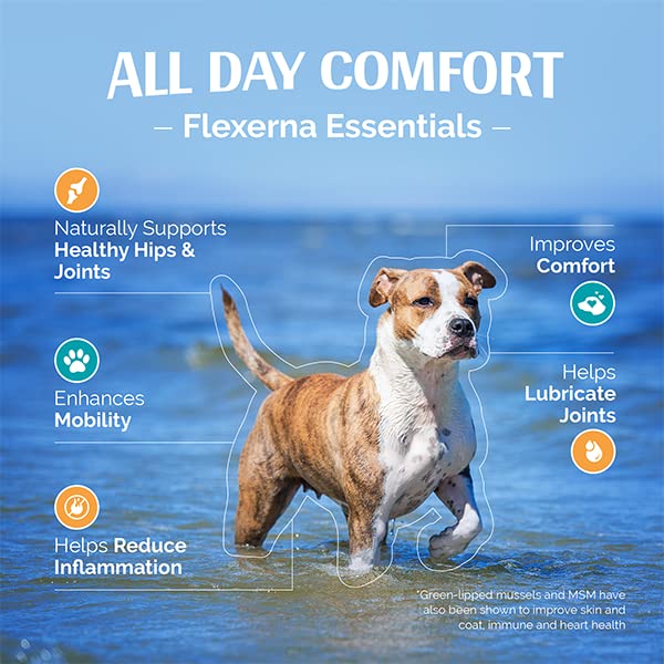 TopDog Health - Flexerna Essentials Green Lipped Mussel Powder & MSM for Dogs - Natural Dog Joint & Mobility Support - Natural Glucosamine Chondroitin + Omega-3 Fatty Acids - Anti-Inflammatory - 3 Oz