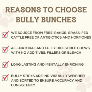 Bully Bunches Premium 12 Inch Jumbo Odor-Free Bully Sticks for Medium & Large Dogs - Long Lasting Chews for Oral Care - All Natural & Single Ingredient, 100% Beef Dog Treat, Rawhide Free (5 Pk)