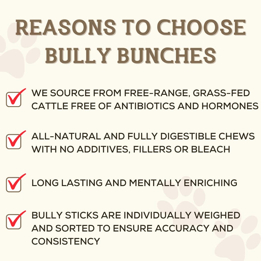 Bully Bunches Premium 12 Inch Jumbo Odor-Free Bully Sticks for Medium & Large Dogs - Long Lasting Chews for Oral Care - All Natural & Single Ingredient, 100% Beef Dog Treat, Rawhide Free (5 Pk)