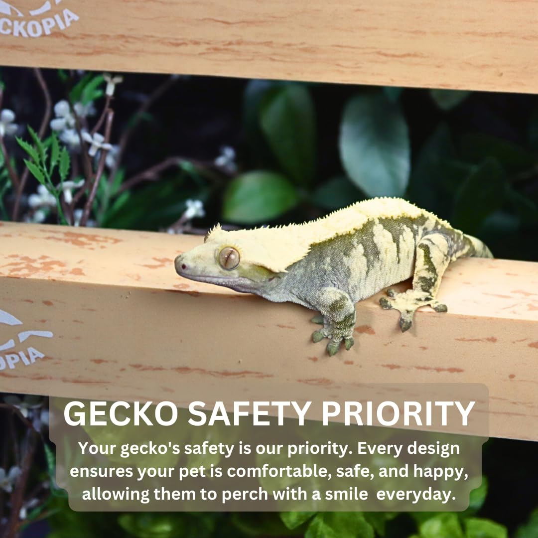 GECKOPIA Reptile Flex Bridge, 2-Pack | Reptile Bridge | Gecko Bridge | Gecko Ledge | Reptile Vine | Reptile Terrarium Decoration | Reptile Branch Alternative (Brown)