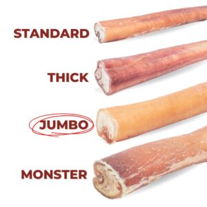 Bully Bunches Premium 12 Inch Jumbo Odor-Free Bully Sticks for Medium & Large Dogs - Long Lasting Chews for Oral Care - All Natural & Single Ingredient, 100% Beef Dog Treat, Rawhide Free (5 Pk)