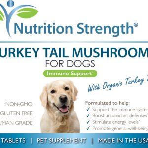 Nutrition Strength Turkey Tail Mushroom for Dogs to Support a Strong Immune System, Promote Gut Health, Antioxidant Activity & Inflammatory Relief, Reduce Fatigue & Boost Stamina, 120 Chewable Tablets