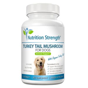 nutrition strength turkey tail mushroom for dogs to support a strong immune system, promote gut health, antioxidant activity & inflammatory relief, reduce fatigue & boost stamina, 120 chewable tablets