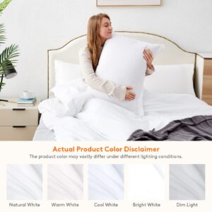 Lifewit Duvet Cover Set Queen Size White Ultra Soft Polyester Microfiber Bedding Duvet Cover Set with Zipper Closure, 3 Pieces, 1 Duvet Cover 90"x90" and 2 Pillow Shams 20"x26"