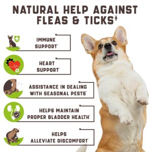 Flea and Tick Prevention Chewable for Dogs - No Collars, No Mess - Easy Help with Flea and Tick for Dogs - American Quality - for All Breeds and Ages - Duck-Flavored Treats - 180 Flea Chews for Dogs