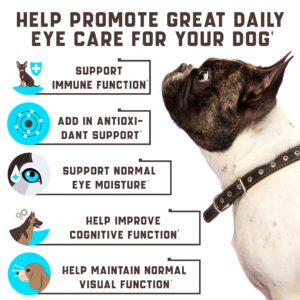 Eye Vitamins for Dogs - Dog Vision Supplement for Tear Stains, Dog Eye Care, Immune Support - Vitamin С, Carrot, Fish Oil, Lutein - 180 Soft Chews with Duck Flavor - for All Breeds and Ages