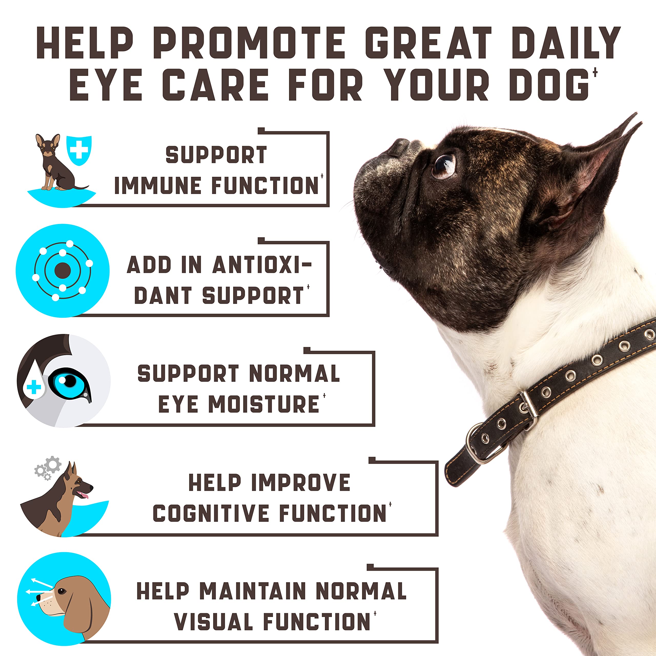 Eye Vitamins for Dogs - Dog Vision Supplement for Tear Stains, Dog Eye Care, Immune Support - Vitamin С, Carrot, Fish Oil, Lutein - 180 Soft Chews with Duck Flavor - for All Breeds and Ages