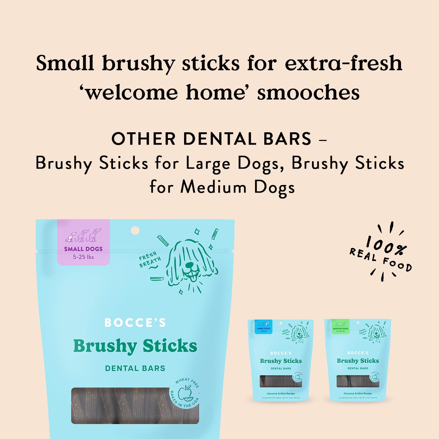 Bocce’s Bakery Dailies Brushy Sticks to Support Oral Health & Fresh Breath, Wheat-Free Dental Bars for Dogs, Made with Real Ingredients, Baked in the USA, All-Natural Coconut & Mint Recipe, Small Dogs