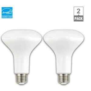 EcoSmart Bulbs EcoSmart 90-Watt Equivalent BR30 Dimmable Energy Star LED Light Bulb in Bright White (2-Pack)